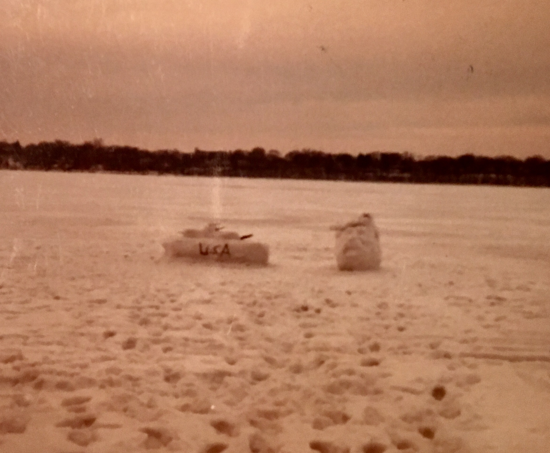 Horner snow sculpture