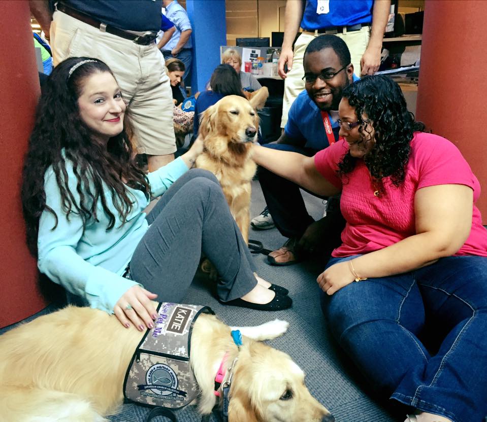 WFTV employees with the comfort dogs. (Photo by Nancy Alvarez, WFTV) 