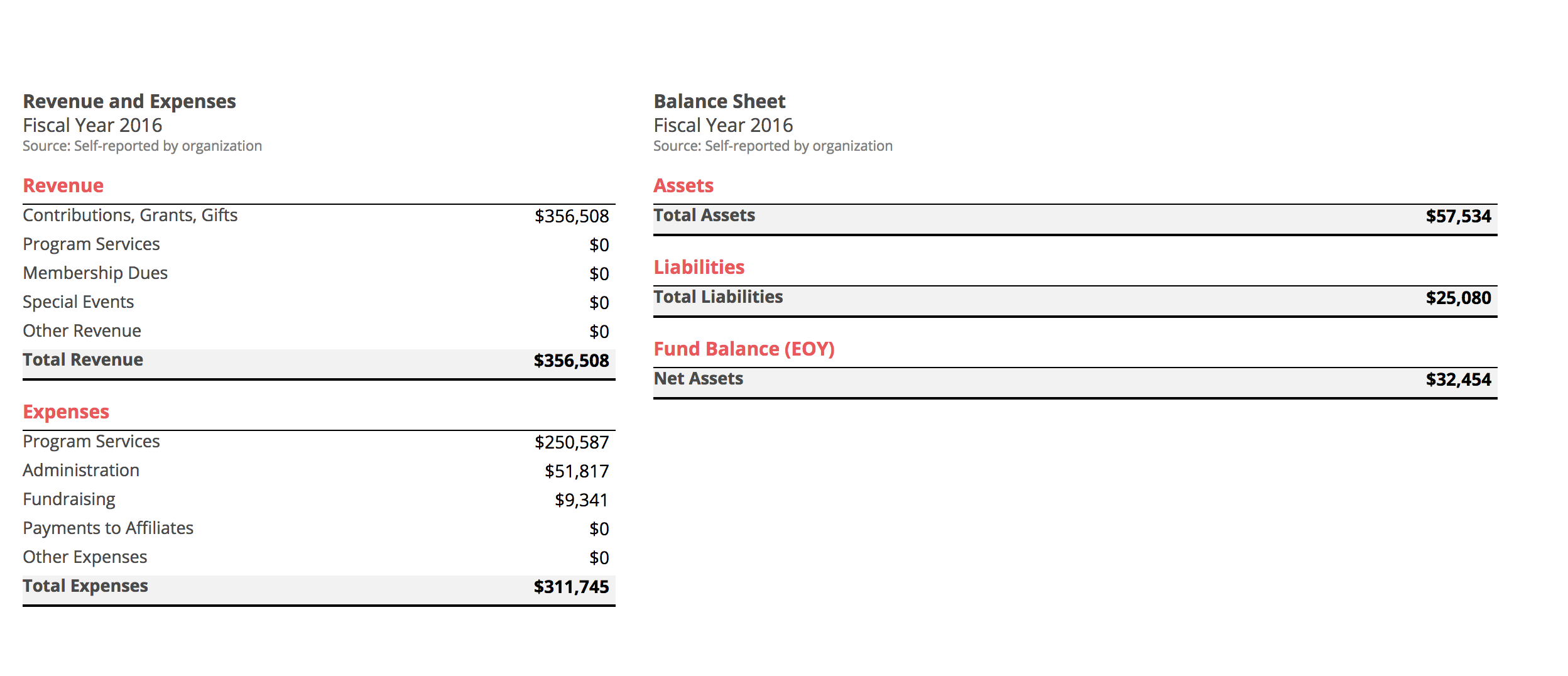 This is a snapshot of RIP Medical's financial statement from 2015 via Guidestar.org