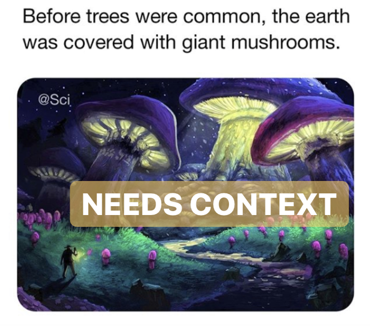 Instagram post showing an alleged fact about giant mushrooms ruling the earth before trees.