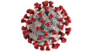 Coronavirus Illustration (CDC)