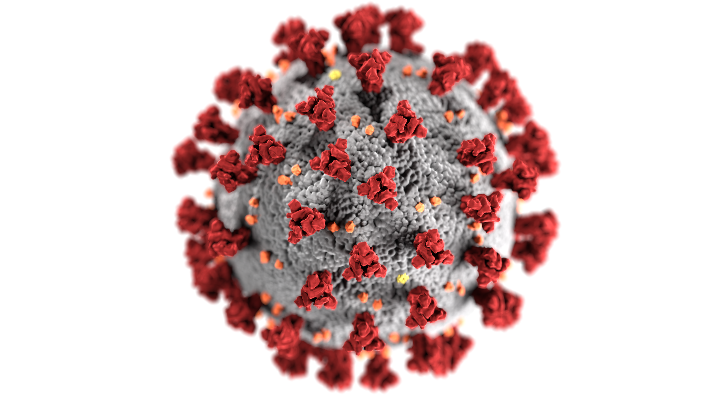 You Ve Probably Seen This Image Of The Coronavirus Everywhere What Is It Exactly Poynter