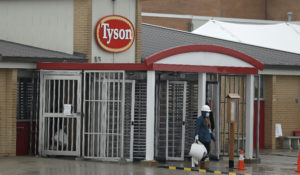A Tyson Fresh Meats plant employee leaves the plant, Thursday, April 23, 2020, in Logansport, Indiana. Like other meat plants across the U.S., the plant temporarily closed  after several employees tested positive for COVID-19. (AP Photo/Darron Cummings)