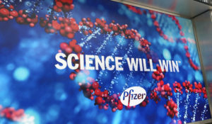 Initial doses of the Pfizer COVID-19 coronavirus vaccine have been flown into the United States from Belgium ahead of a planned nationwide rollout in December. (zz/STRF/STAR MAX/IPx)