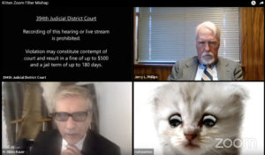 A video still showing a hearing from the 394th Judicial District Court of Texas in which an attorney accidentally showed up in a virtual call with a kitten filter. (Texas Department of Criminal Justice via AP)