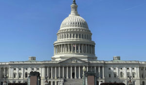 The U.S. Capitol Building. (STRF/STAR MAX/IPx)