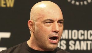 Podcaster Joe Rogan in 2017. (AP Photo/Gregory Payan, File)