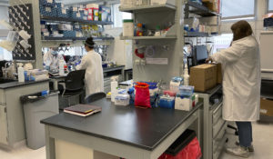 Graduate program students Emma Lancaster, right, Emily Lu, center, and Fan He, left, work to extract remnants of COVID-19 in wastewater samples, March 23, 2022 at a school lab at the Ohio State University in Columbus, Ohio. (AP Photo/Patrick Orsagos)