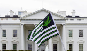 In this April 2, 2016 file photo, a demonstrator waves a flag with marijuana leaves on it during a protest calling for the legalization of marijuana, outside of the White House in Washington. Marijuana would be decriminalized at the federal level under legislation the House approved Friday as Democrats made the case for allowing states to set their own policies on pot. ( AP Photo/Jose Luis Magana)