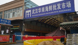 In this Jan. 21, 2020, file photo, the Wuhan Huanan Wholesale Seafood Market sits closed in Wuhan in central China's Hubei province. (AP Photo/Dake Kang, File)