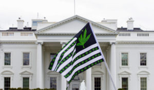 A demonstrator waves a flag with marijuana leaves depicted on it during a protest calling for the legalization of marijuana, outside of the White House on April 2, 2016, in Washington. President Joe Biden is pardoning thousands of Americans convicted of “simple possession” of marijuana under federal law, as his administration takes a dramatic step toward decriminalizing the drug and addressing charging practices that disproportionately impact people of color. (AP Photo/Jose Luis Magana, File)