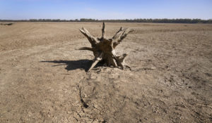 Debris sits in the dried up river bed Oct. 20, 2022, where the Mississippi River would normally flow near Portageville, Missouri. (Associated Press/Jeff Roberson)