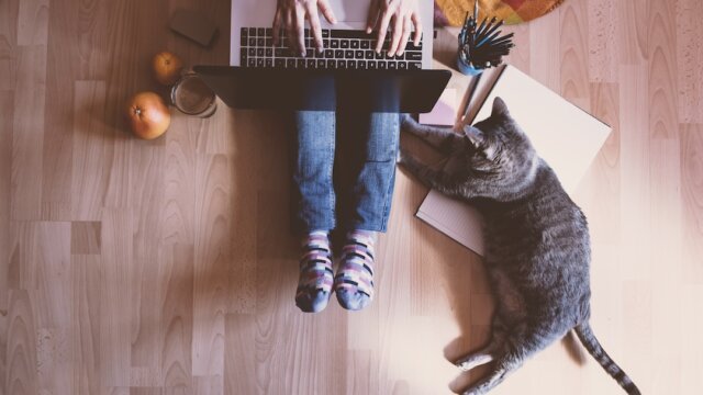 Creative workspace: girl working at the computer assisted by her cat.