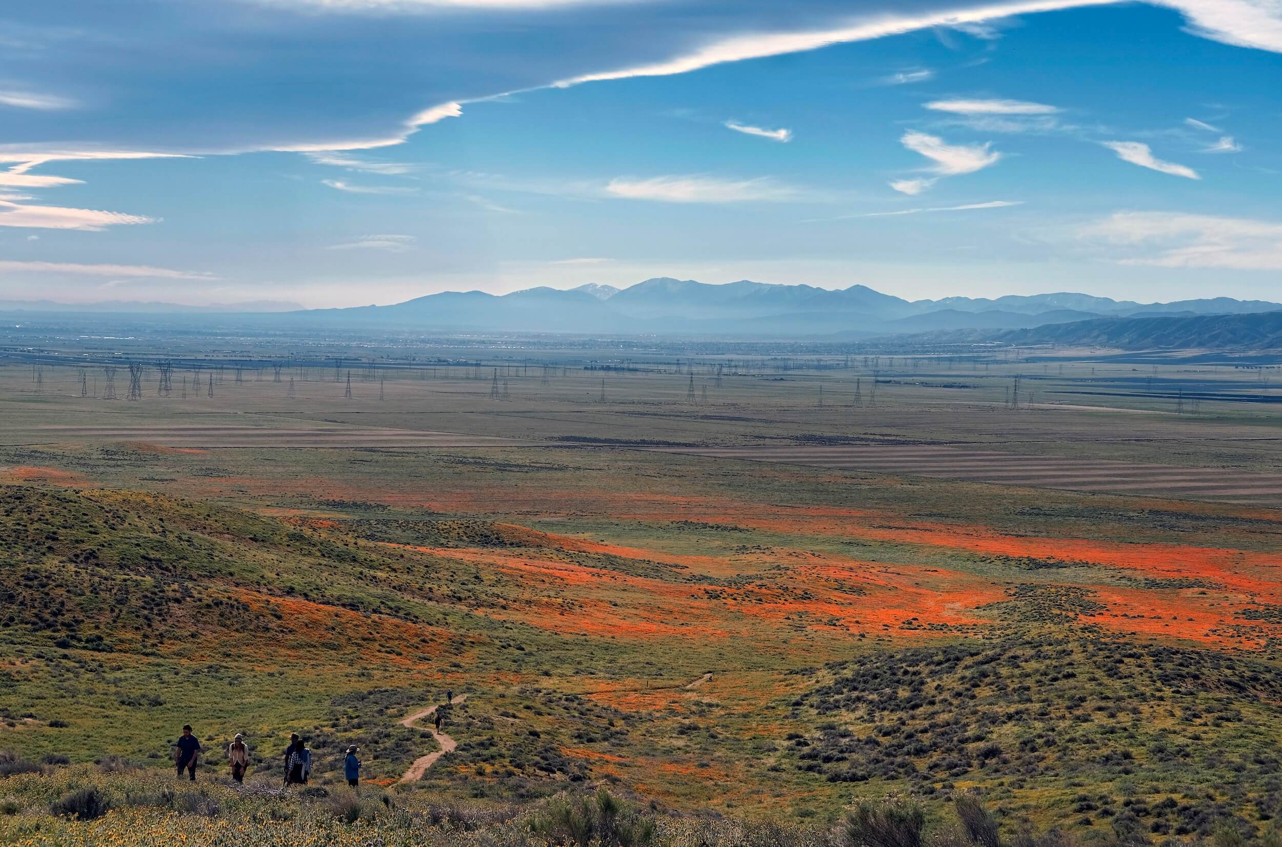 In Los Angeles, a news outlet ‘superbloom’ is emerging