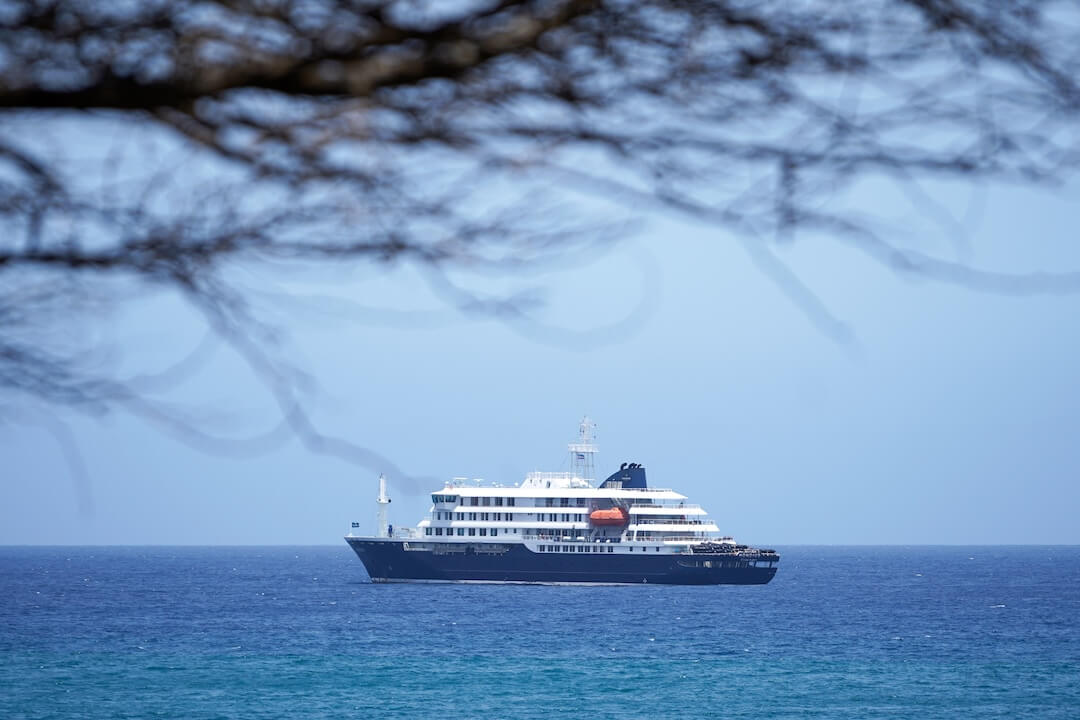 What is hantavirus? Symptoms, spread and what we know about the cruise ship outbreak